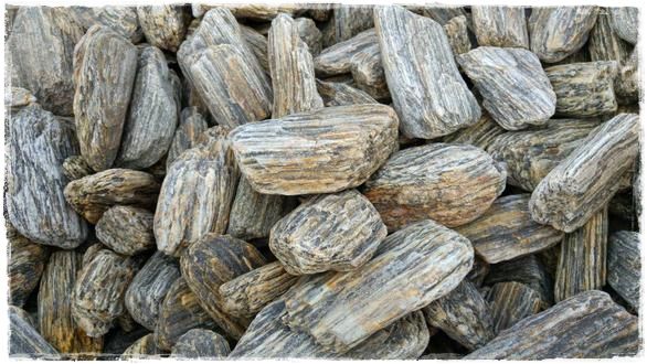 kora kamienna zogrodemnaty5