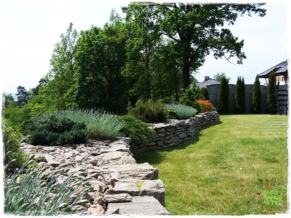 kora kamienna zogrodemnaty9