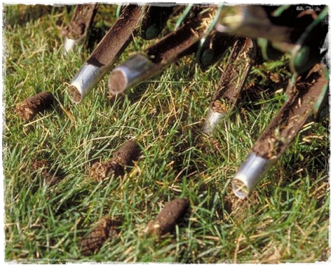 piaskowanie trawnika zogrodemnaty3