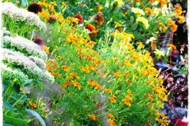 5576632d30637d21041325369b7e549d