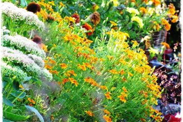 5576632d30637d21041325369b7e549d