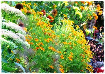 5576632d30637d21041325369b7e549d