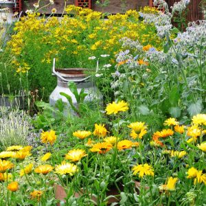 8ff87386e7b50ab23d9ad329dde7ae19