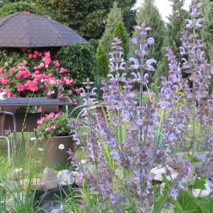 add5968a08dfc19a5eae3df7d065a3f8