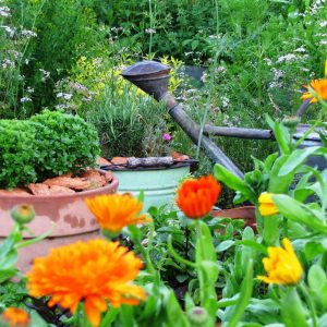 f5a3a4643dd8f05452939af1869c3463