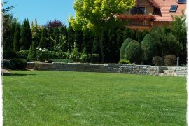 80a754b4cfa876a5cc39268c44c3a09f