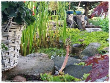 d2814ab33c2ee9726eb2bdcf8aaca6f3