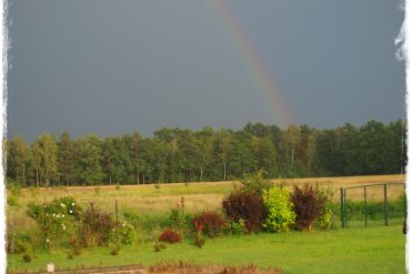 0c0afaaaaf9f72f35a20698bbc699b63