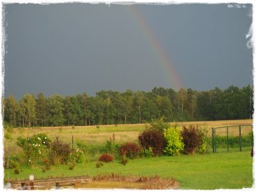 0c0afaaaaf9f72f35a20698bbc699b63