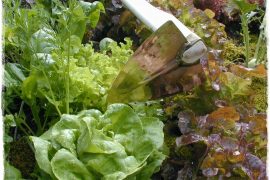 822dd136a60b2933ae806e8a4bf66444