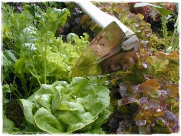 822dd136a60b2933ae806e8a4bf66444