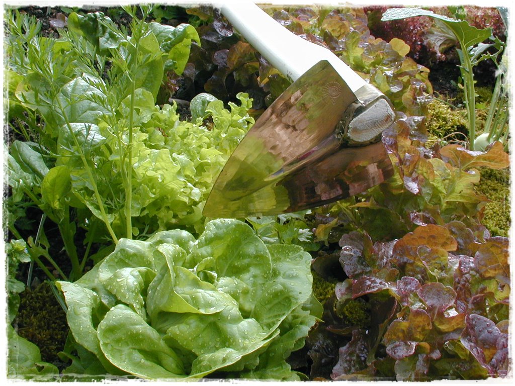 822dd136a60b2933ae806e8a4bf66444