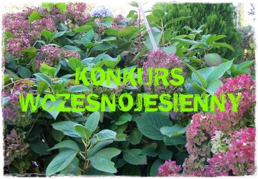 623493b3955a4ebefbf372e2575acf24