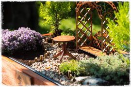 mini ogrody zogrodemnaty1