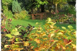 0056eba8c5db5bf13c92e2fc6ec84493