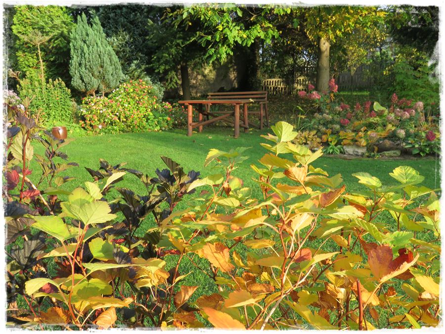 0056eba8c5db5bf13c92e2fc6ec84493