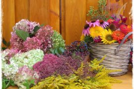 jesienne dekoracje w ogrodzie zogrodemnaty1