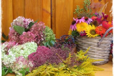 jesienne dekoracje w ogrodzie zogrodemnaty1