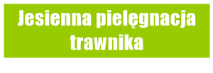 Jesienna pielęgnacja trawnika