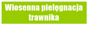 Wiosenna pielęgnacja trawnika