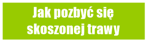Jak pozbyć się skoszonej trawy