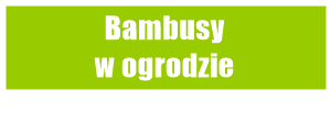 Bambusy w ogrodzie