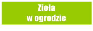 Zioła w ogrodzie