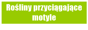 Motyle w ogrodzie