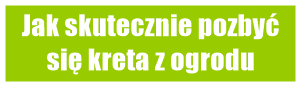 Jak pozbyć się kreta