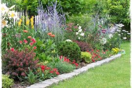 ciekawe byliny ogrodowe zogrodemnaty1