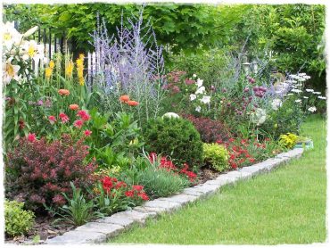 ciekawe byliny ogrodowe zogrodemnaty1