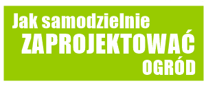 Jak zaprojektować ogród