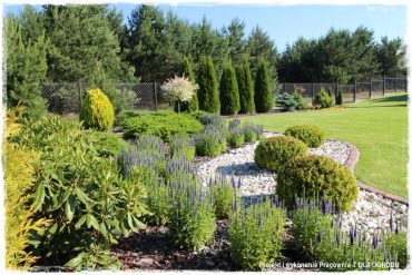 fac98bbaf16a9b7f483b4cbafca1eaf4