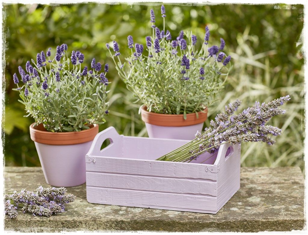 altax viva garden zogordemnaty1