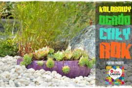 0eef81e87deb574e7a119b8c42dc6a89