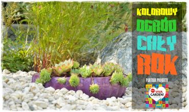 0eef81e87deb574e7a119b8c42dc6a89