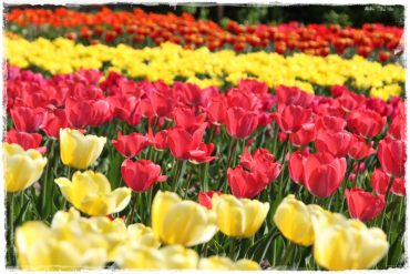 1b6854e1d9bb38fe6dd53fb7893d3179