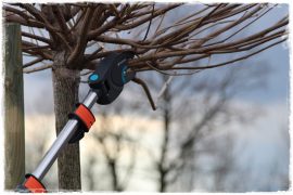 4a6805b389054da5ba362277865634e1