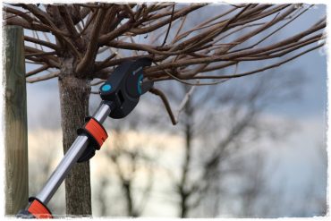 4a6805b389054da5ba362277865634e1