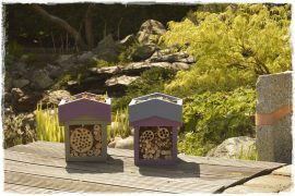 b88c5bc6b9f3a89e7ce21bb0306353a3