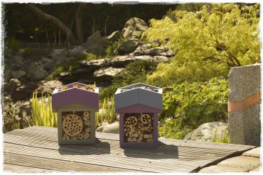 b88c5bc6b9f3a89e7ce21bb0306353a3