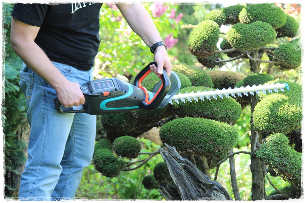 9f649035bac4e89ffe608dcf6dd158cc