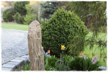 szpilka gnejsowa zogrodemnaty1