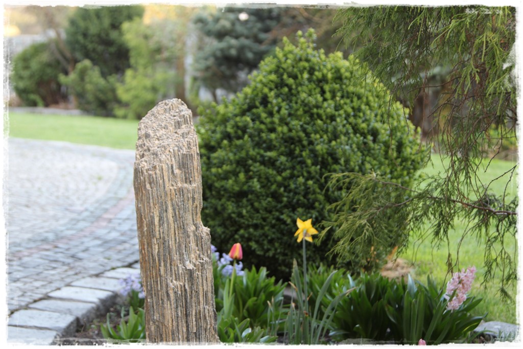 szpilka gnejsowa zogrodemnaty1