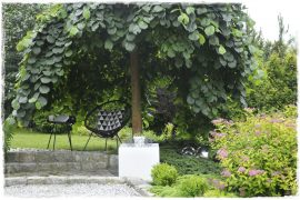 408f4ce510a6a5b8426c237de5208049