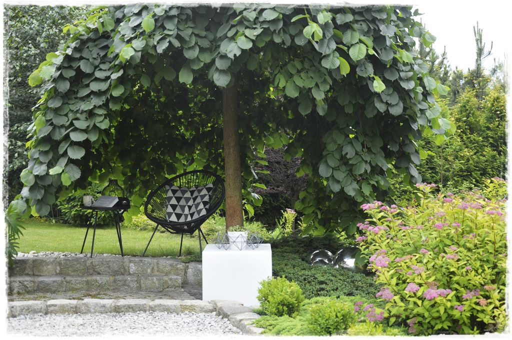 408f4ce510a6a5b8426c237de5208049