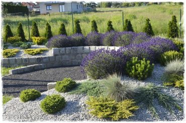 146505de16c0ddeaacb95d96f3442d94