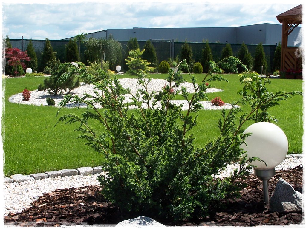 22a6bda445b43a5f946f589e85625ed0