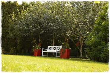 2c2e4e40216d462a9f1c8f0c80dca4cd