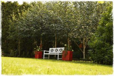 2c2e4e40216d462a9f1c8f0c80dca4cd